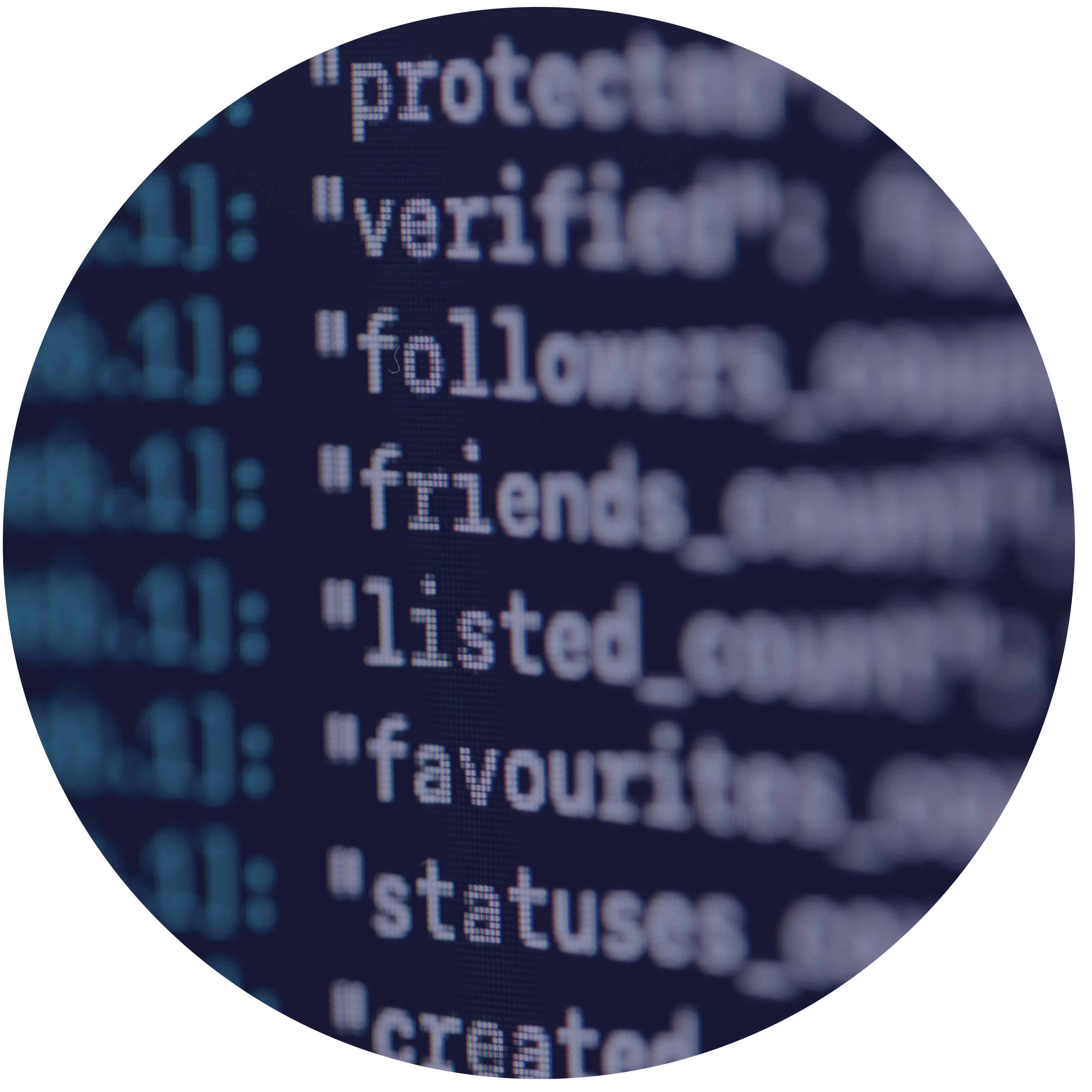 Independent software vendor